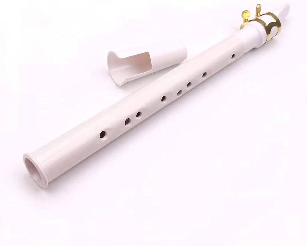 始めよう　ポケットサックス Xaphoon Pocket SAX ザフーン Xaphoon ザフーン ポケットサックス 国内正規品 POCKET SAX バンブー